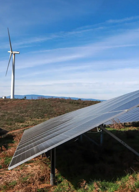 Energia solar bateu recorde e 77% do consumo de eletricidade veio das renováveis